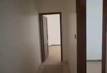 Apartments For rent - 2 rooms - floor 3