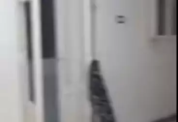 شقق للبيع - 2 غرف - بالدور 3