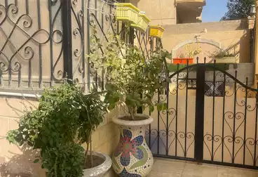 شقق للبيع - 3 غرف - بالدور 1