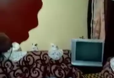 undefined undefined - 3 rooms - floor 3