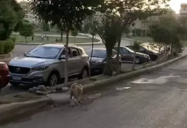 دوبلكس للبيع - 3 غرف - بالدور 1