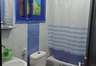 شقق للبيع - 3 غرف - بالدور 10