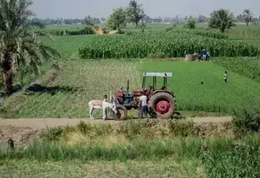 أرض زراعية للبيع