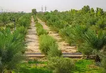 Villas For sale - 4 rooms