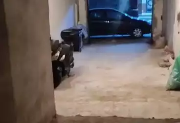 undefined undefined - بالدور 0