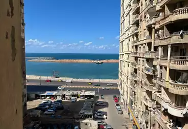 شقق للبيع - 3 غرف - بالدور 7