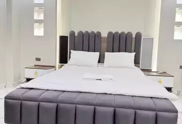 Serviced Apartments For rent - 3 rooms - floor 5