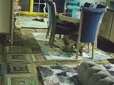 undefined undefined - 3 rooms - floor 1