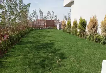 شقق للإيجار - 2 غرف - بالدور 1