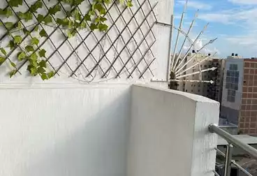 شقق للإيجار - 3 غرف - بالدور 10