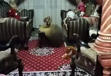 Apartments For sale - 2 rooms - floor 4