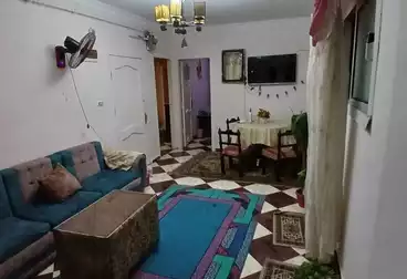 عقارات للإيجار - 3 غرف - بالدور 16