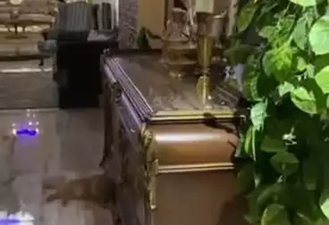 شقق للبيع - 3 غرف - بالدور 6