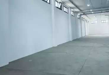 مصنع للإيجار