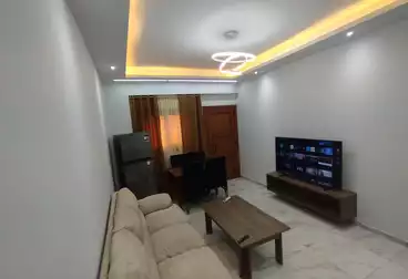 Serviced Apartments For rent - 1 rooms - floor 0