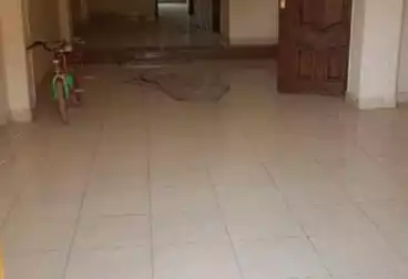 Apartments For rent - 2 rooms - floor 6