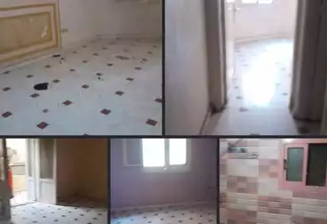 شقق للإيجار - 3 غرف - بالدور 8