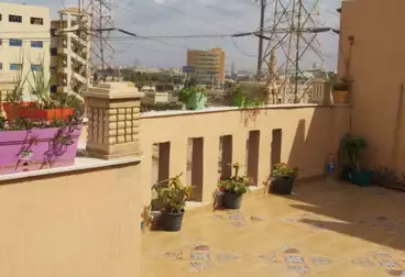 شقق للبيع - 3 غرف - بالدور 3