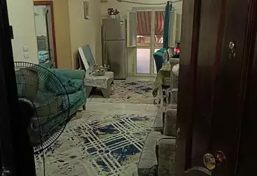 شقق للبيع - 3 غرف - بالدور 5