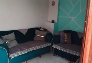 شقق للبيع - 3 غرف - بالدور 6