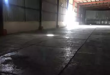 تجاري للإيجار