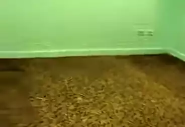 شقق للبيع - 2 غرف - بالدور 1