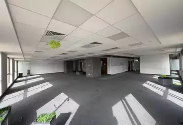 مساحة مكتبية للإيجار - بالدور 1