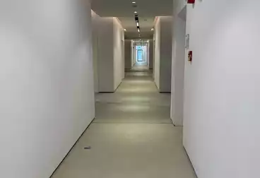 مساحة مكتبية للإيجار - بالدور 1