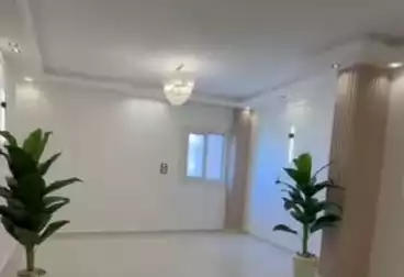 شقق للبيع - 3 غرف - بالدور 11