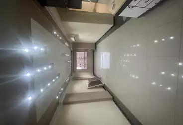 شقق للإيجار