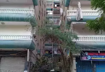 Apartments For sale - 3 rooms - floor 1