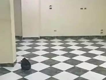 Apartments For rent - 3 rooms - floor 7