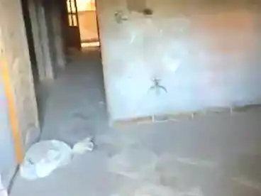 Apartments For sale - 3 rooms - floor 5