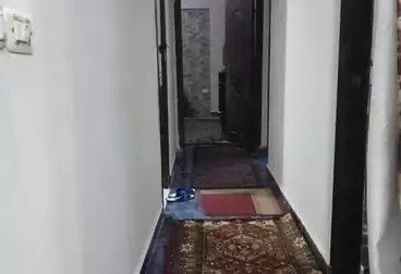 شقق للبيع - 3 غرف - بالدور 8