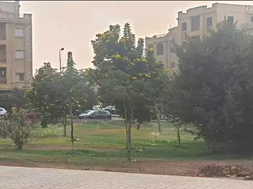 شقق للبيع - 2 غرف - بالدور 0