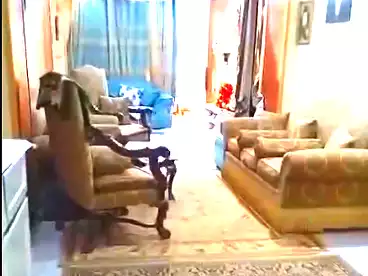 Apartments For sale - 3 rooms - floor 5