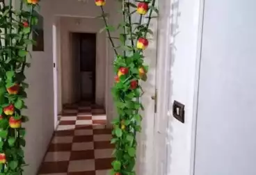 شقق للبيع - 2 غرف - بالدور 1