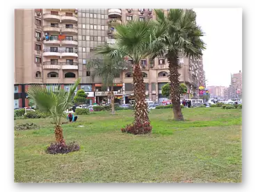 محلات للإيجار - بالدور 0