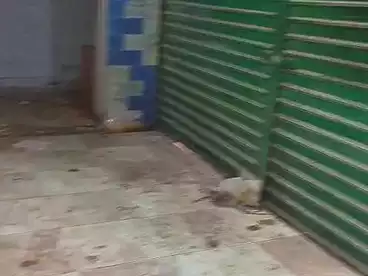 Shops For rent - floor 0