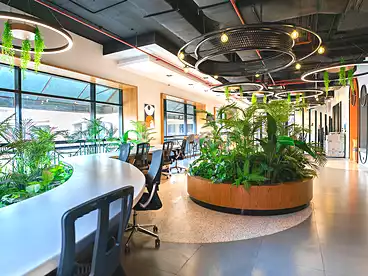 Properties For rent - 1 rooms - floor 2
