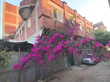 Building For sale - 4 rooms