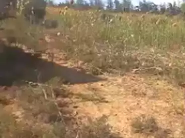 Farm For sale
