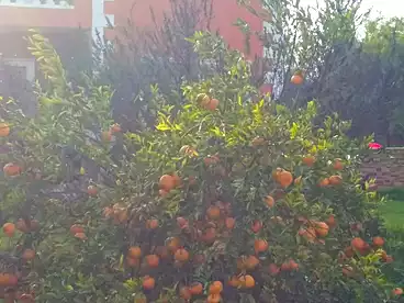 فلل للبيع في مزارع ستيلا دي ماري، مدينة سفنكس الجديدة، 215 متر