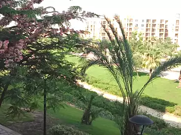 Apartments For rent - 3 rooms - floor 3