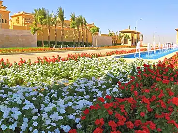 توين هاوس للبيع - 5 غرف