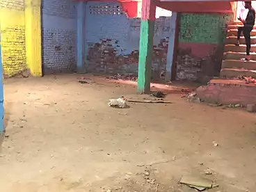 عقارات للإيجار