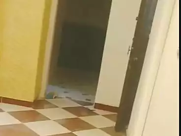 Properties For sale - 3 rooms - floor 1