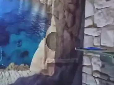 شقق للبيع في شارع العشرين، فيصل، 40 متر