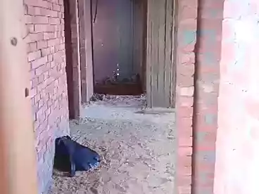 Apartments For sale - 3 rooms - floor 11