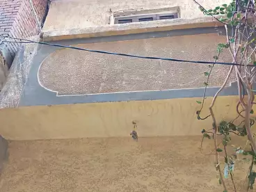 منزل / بيت للبيع - 2 غرف